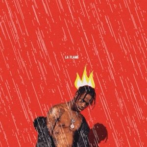 Meet your Posher, Carter